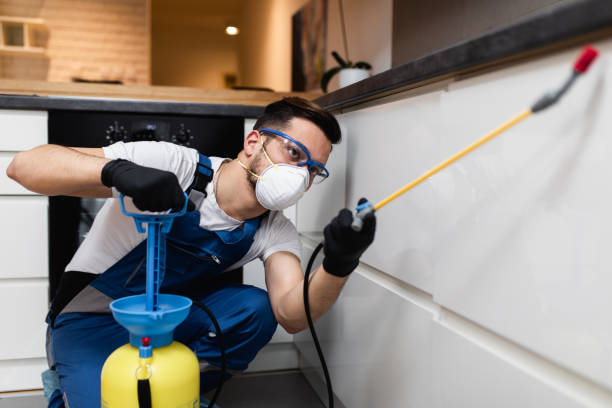Best Best Pest Control Companies  in Artesia, NM