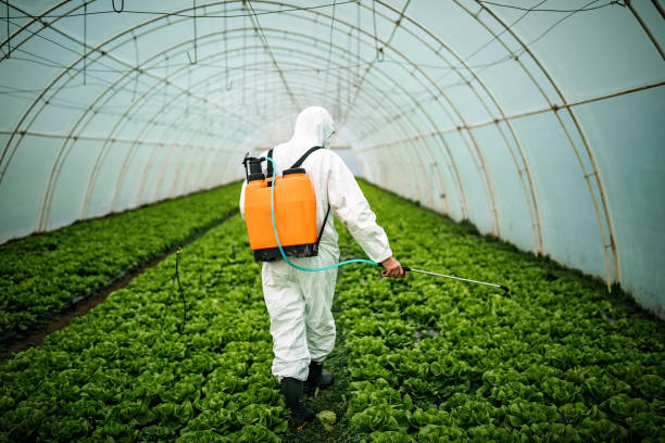Best Local Pest Control Services  in Artesia, NM