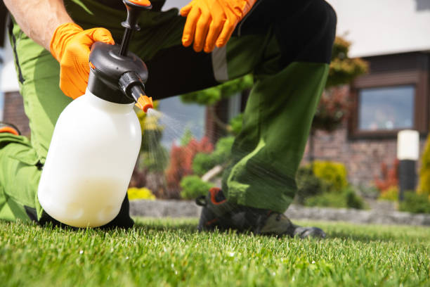 Best Residential Pest Control  in Artesia, NM