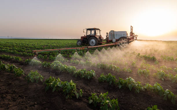 Best Commercial Pest Control Services  in Artesia, NM
