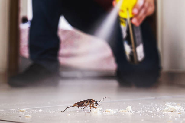 Best Pest Prevention Services  in Artesia, NM