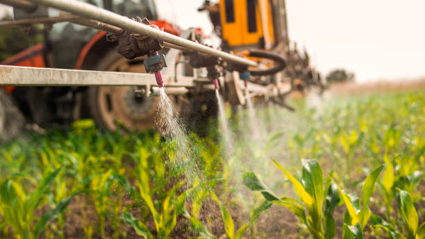 Best Wildlife Control Services  in Artesia, NM
