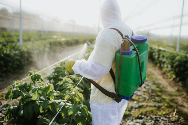 Trusted Artesia, NM Pest Control Experts